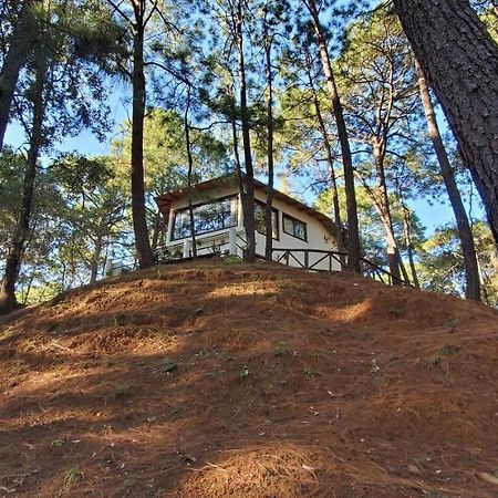 Villa Fantasia A 15 Min A Pie De Cascada Mazamitla Ngoại thất bức ảnh