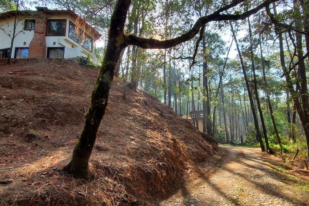 Villa Fantasia A 15 Min A Pie De Cascada Mazamitla Ngoại thất bức ảnh