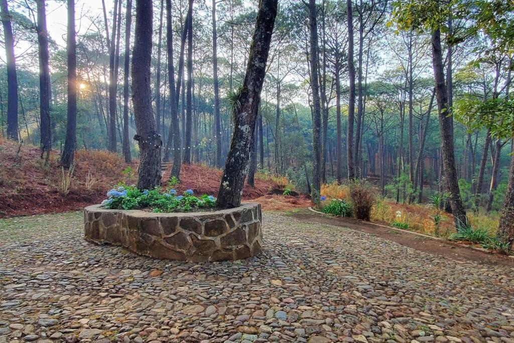 Villa Fantasia A 15 Min A Pie De Cascada Mazamitla Ngoại thất bức ảnh