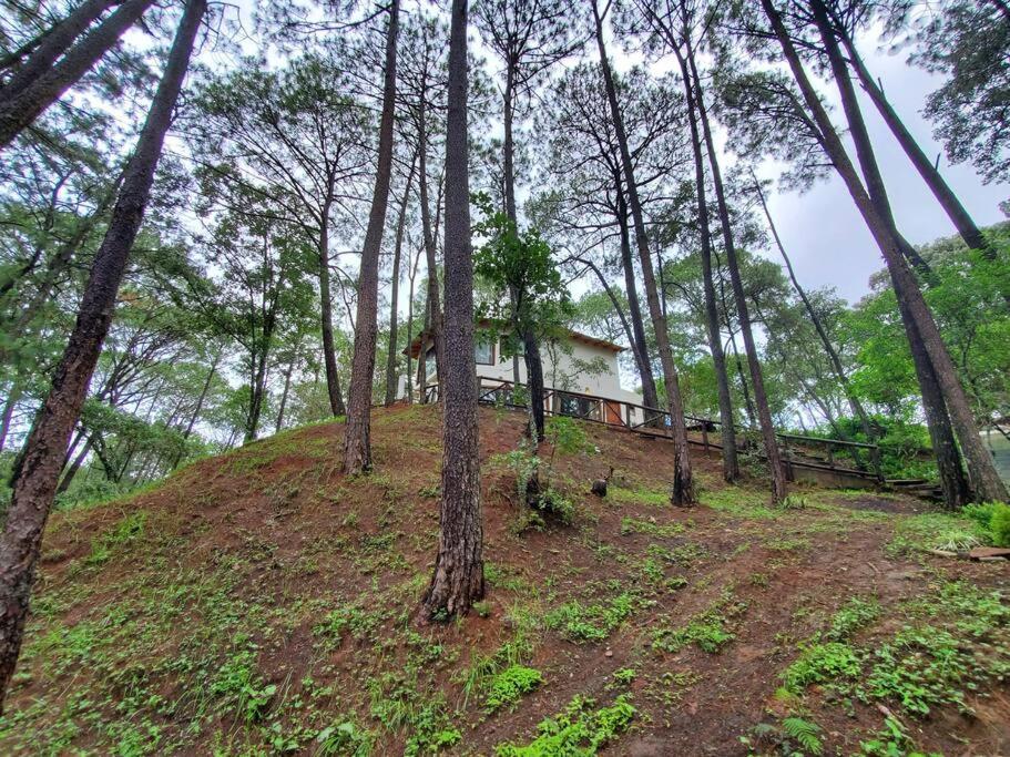 Villa Fantasia A 15 Min A Pie De Cascada Mazamitla Ngoại thất bức ảnh