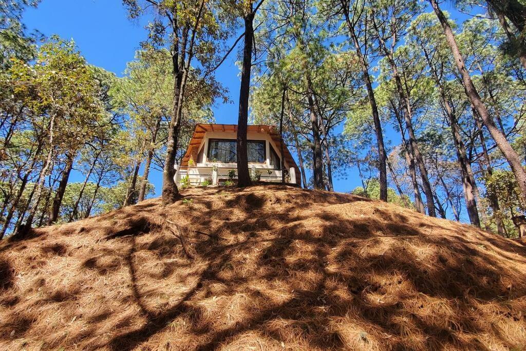Villa Fantasia A 15 Min A Pie De Cascada Mazamitla Ngoại thất bức ảnh