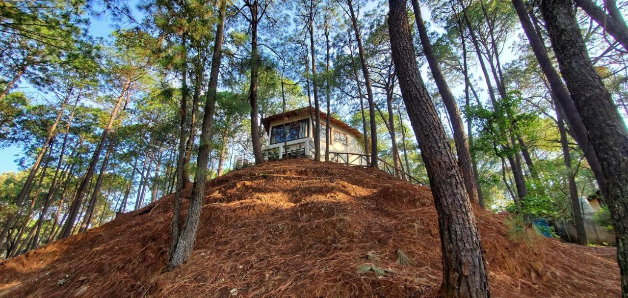 Villa Fantasia A 15 Min A Pie De Cascada Mazamitla Ngoại thất bức ảnh